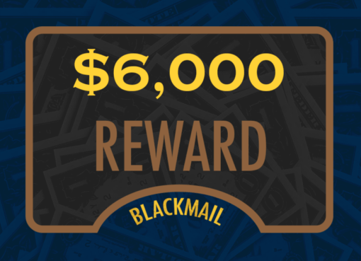 Back of cards reading $6000 reward
